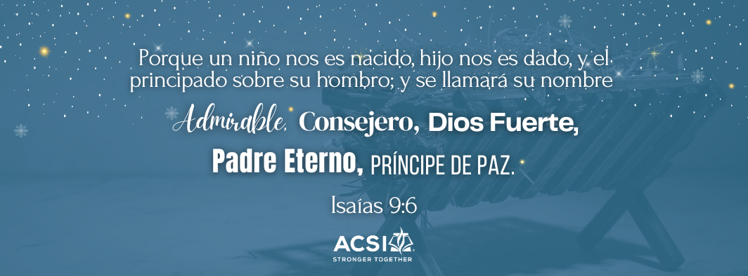 Banner Navidad y Gratitud